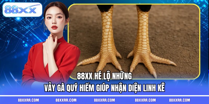 những vảy gà quý hiếm