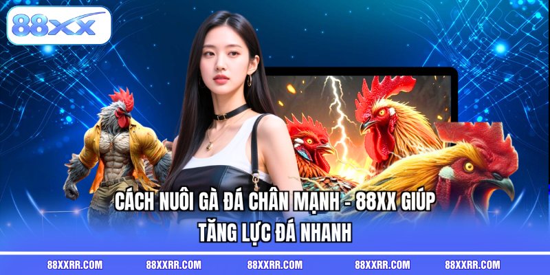 cách nuôi gà đá chân mạnh