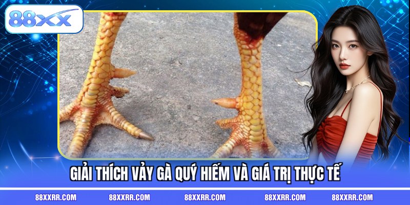 Giải thích vảy gà quý hiếm và giá trị thực tế