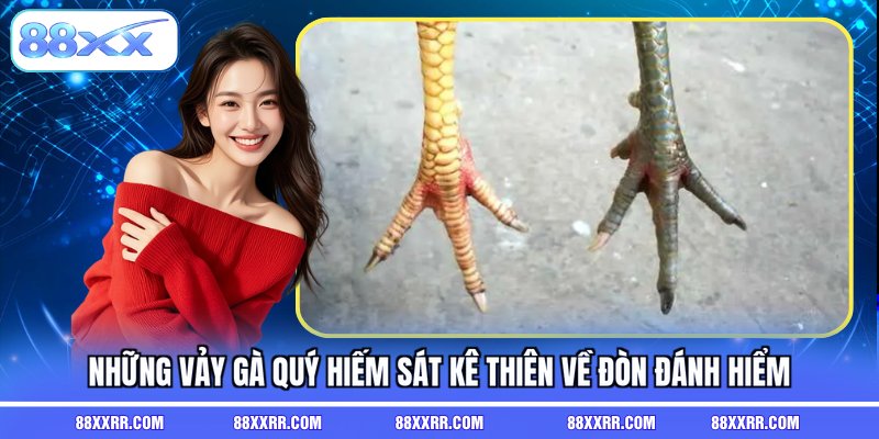 Những vảy gà quý hiếm sát kê thiên về đòn đánh hiểm